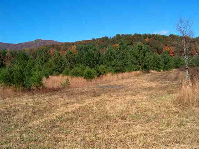 Lot A Ragsdale Road Cleveland, SC 29635 - Photo 5 of 6
