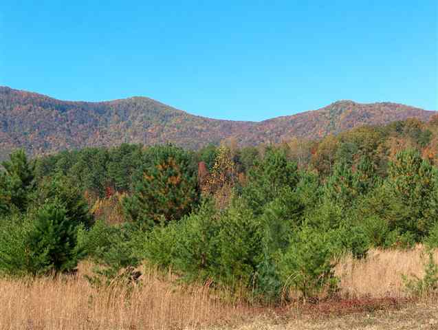 Lot A Ragsdale Road Cleveland, SC 29635 - Photo 6 of 6