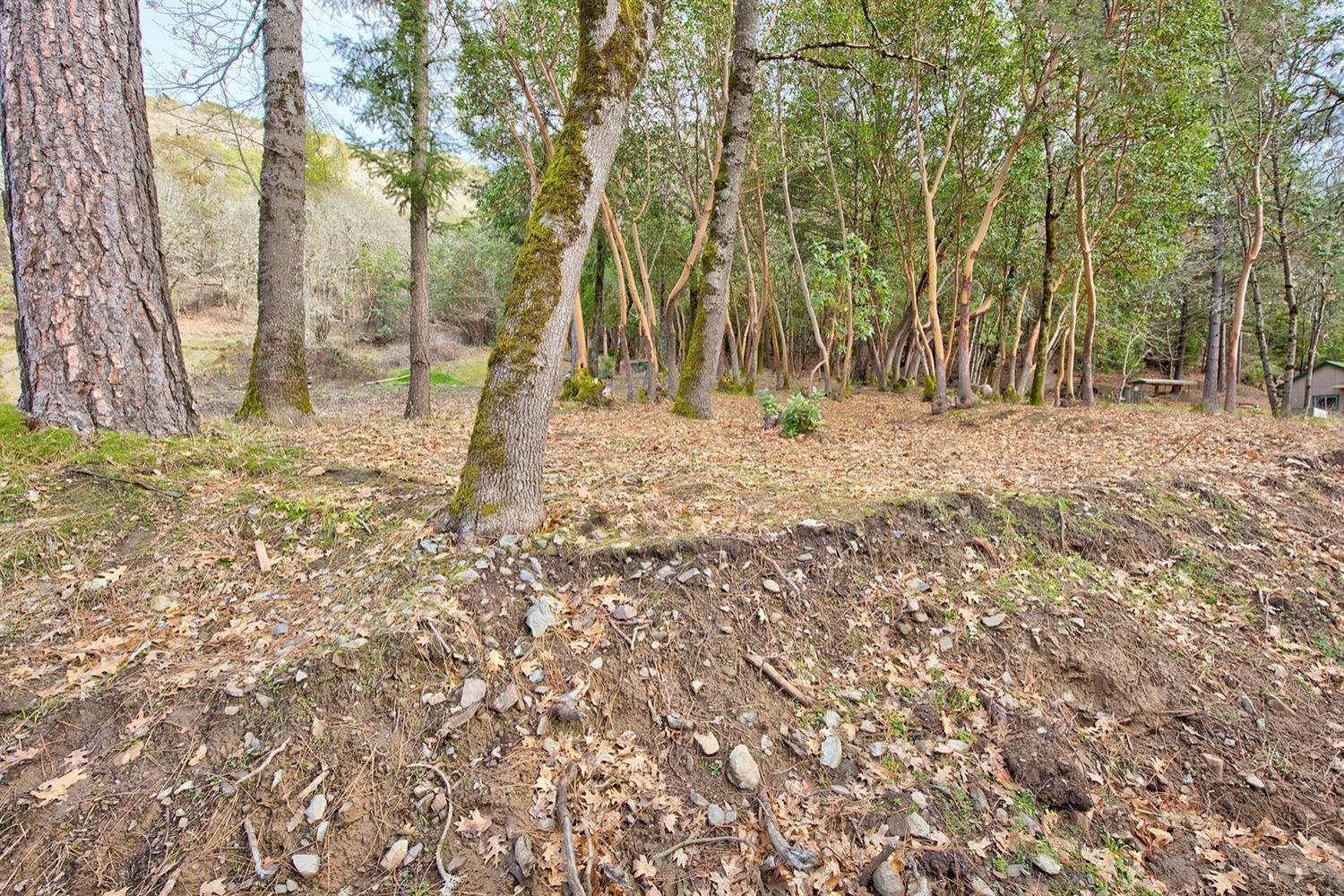 5138 North River Road Gold Hill, OR 97525 - Photo 20 of 20 Additional Photo