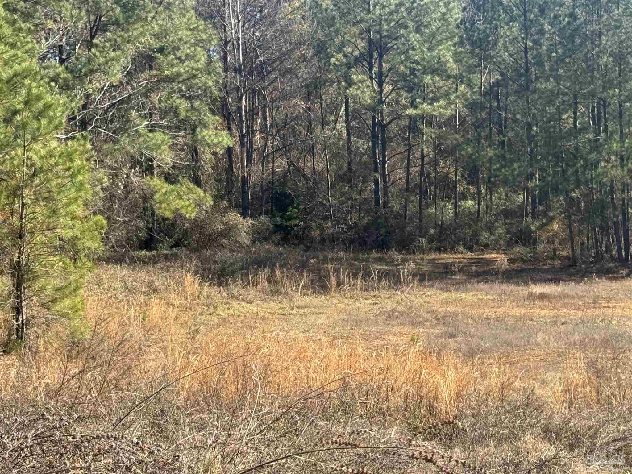 2 Oil Well Road Flomaton, AL 36441 - Photo 2 of 5