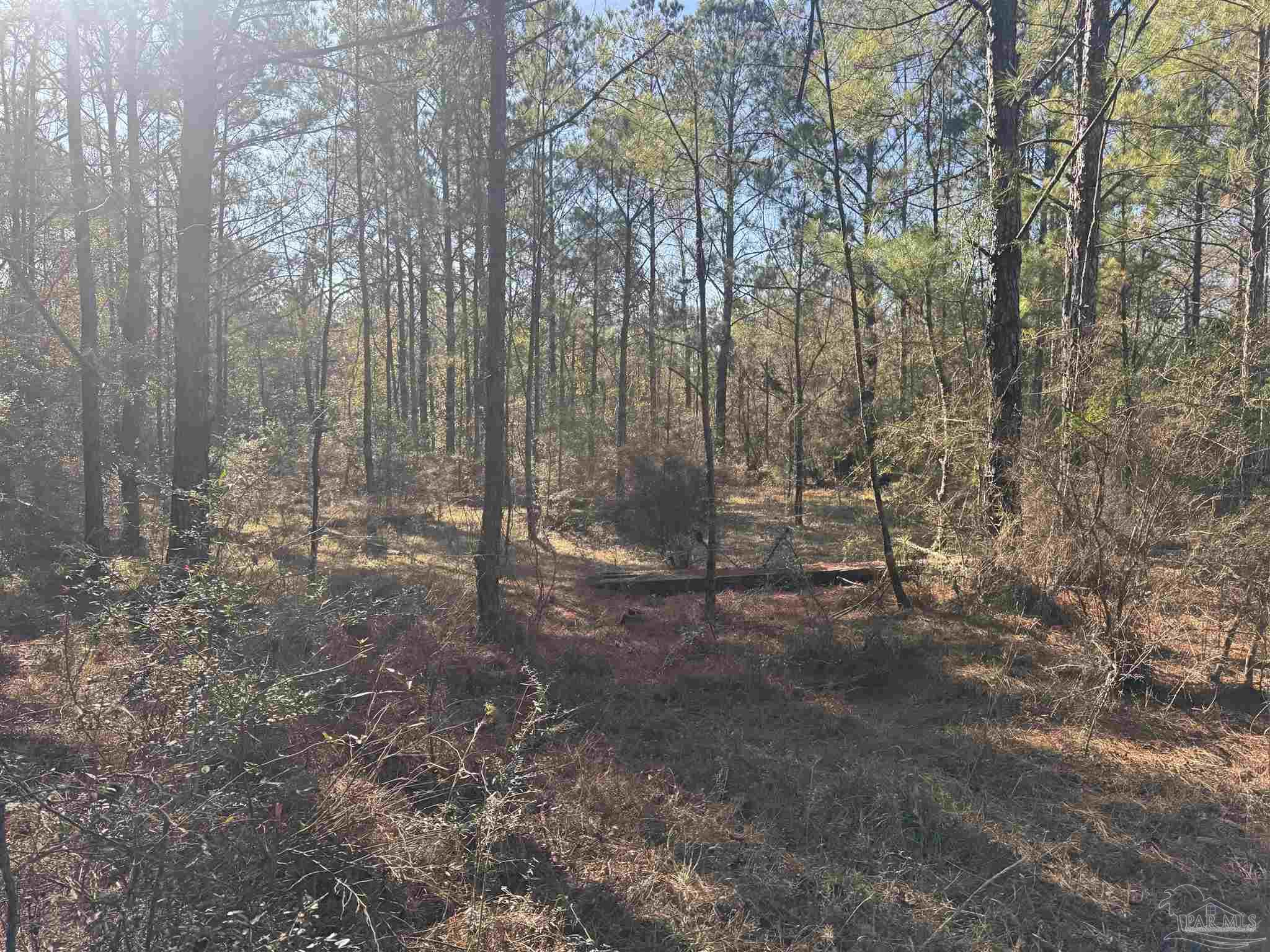 2 Oil Well Road Flomaton, AL 36441 - Photo 3 of 5