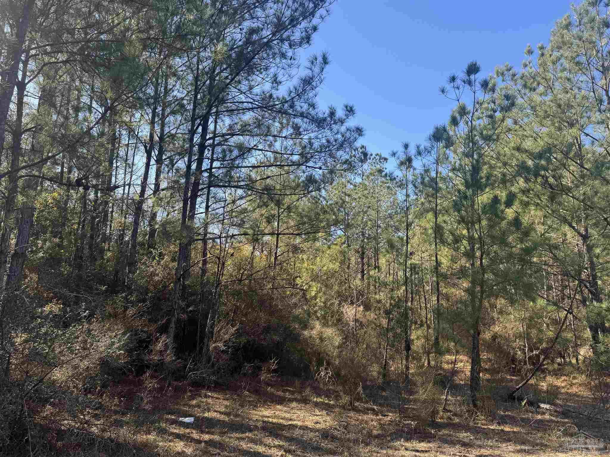 2 Oil Well Road Flomaton, AL 36441 - Photo 4 of 5