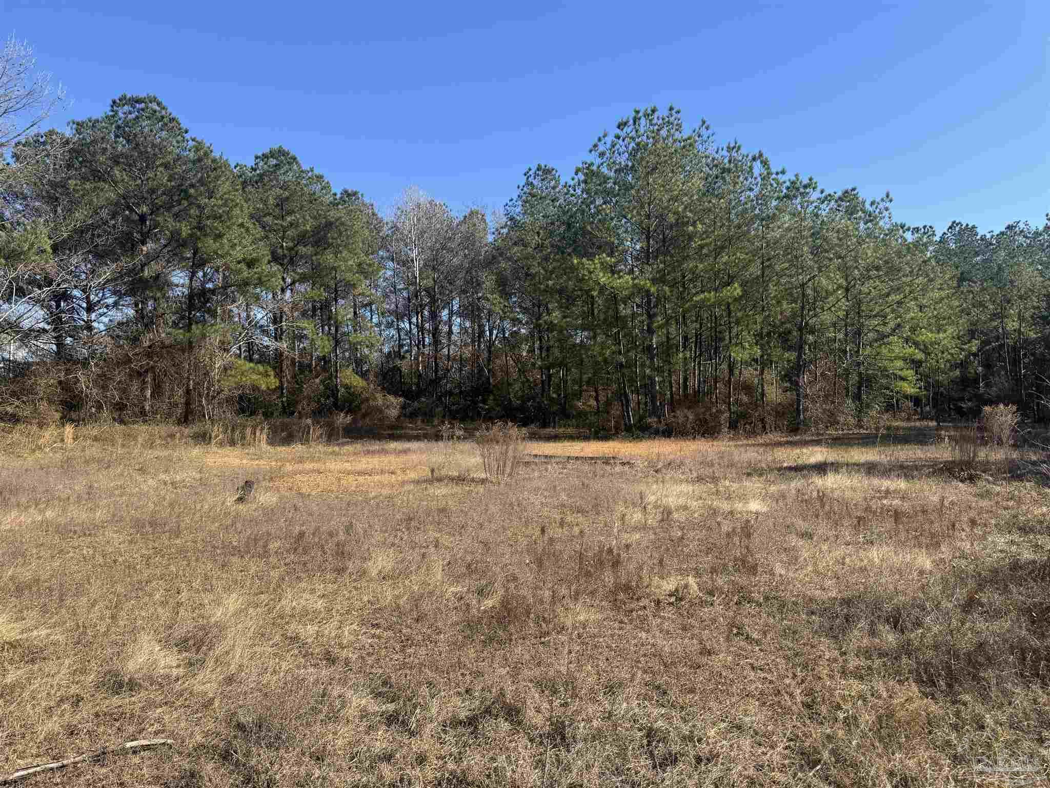 2 Oil Well Road Flomaton, AL 36441 - Photo 5 of 5
