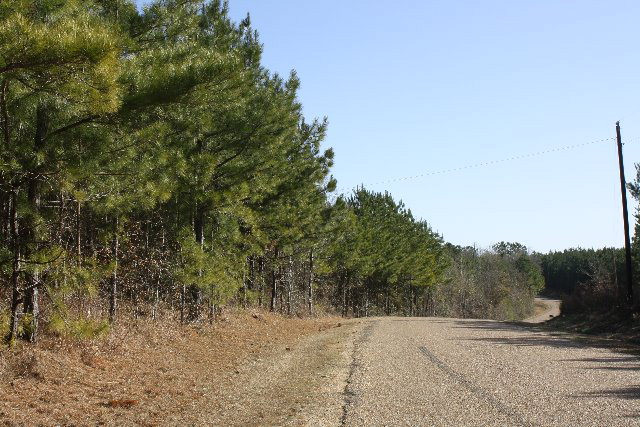 741 Mt Zion Road Northwest Wesson, MS 39191 - Photo 1 of 1 Main View
