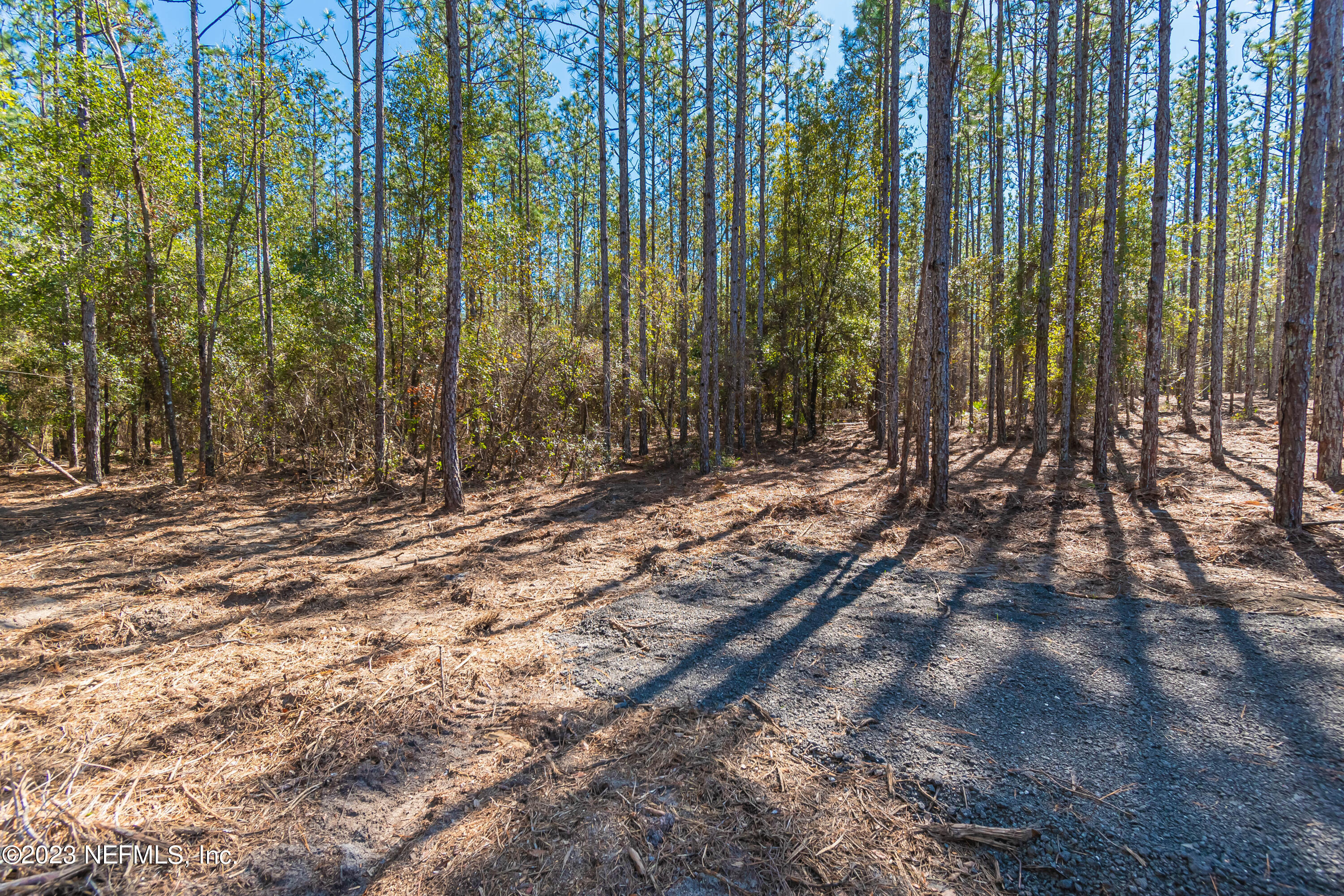 Lot 8 Stokes Road Macclenny, FL 32063 - Photo 2 of 9 untitled-3580