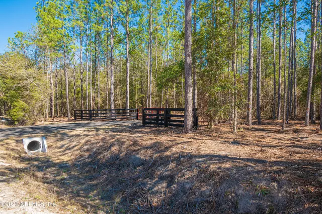 a view of backyard with trees