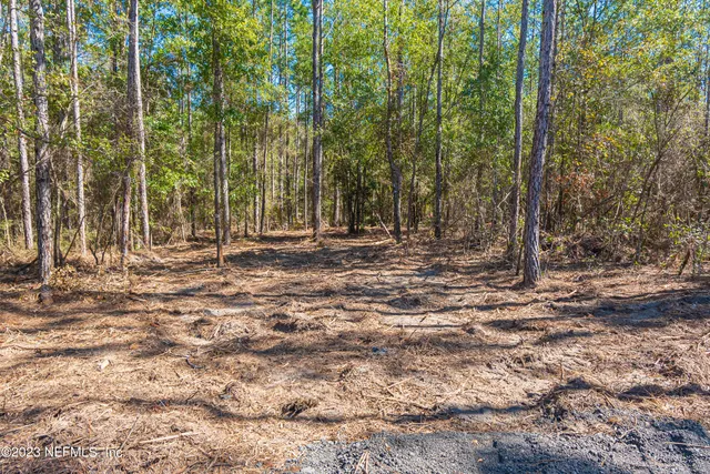 a backyard of a house with lots of green space