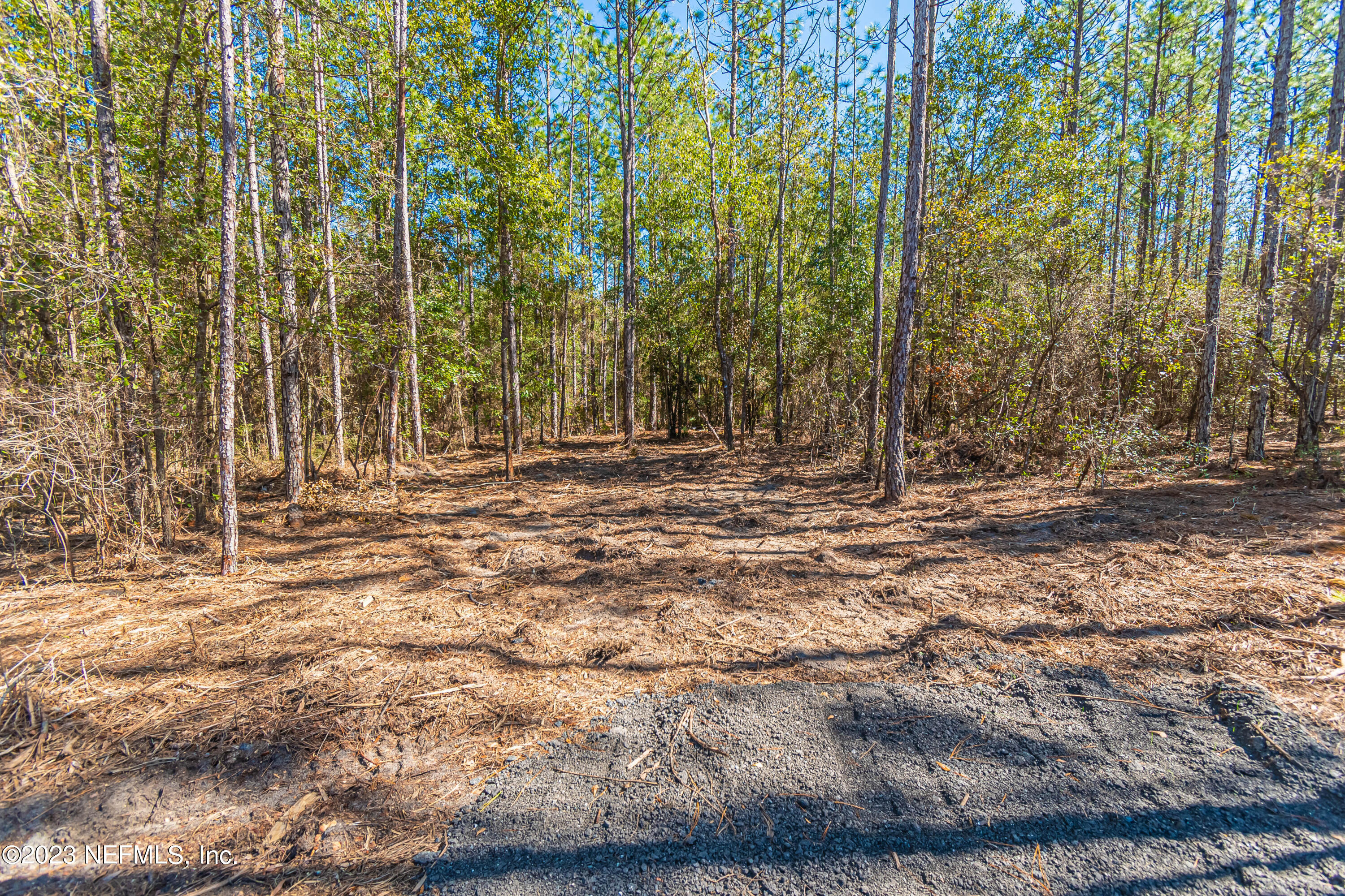 Lot 8 Stokes Road Macclenny, FL 32063 - Photo 7 of 9 untitled-3584