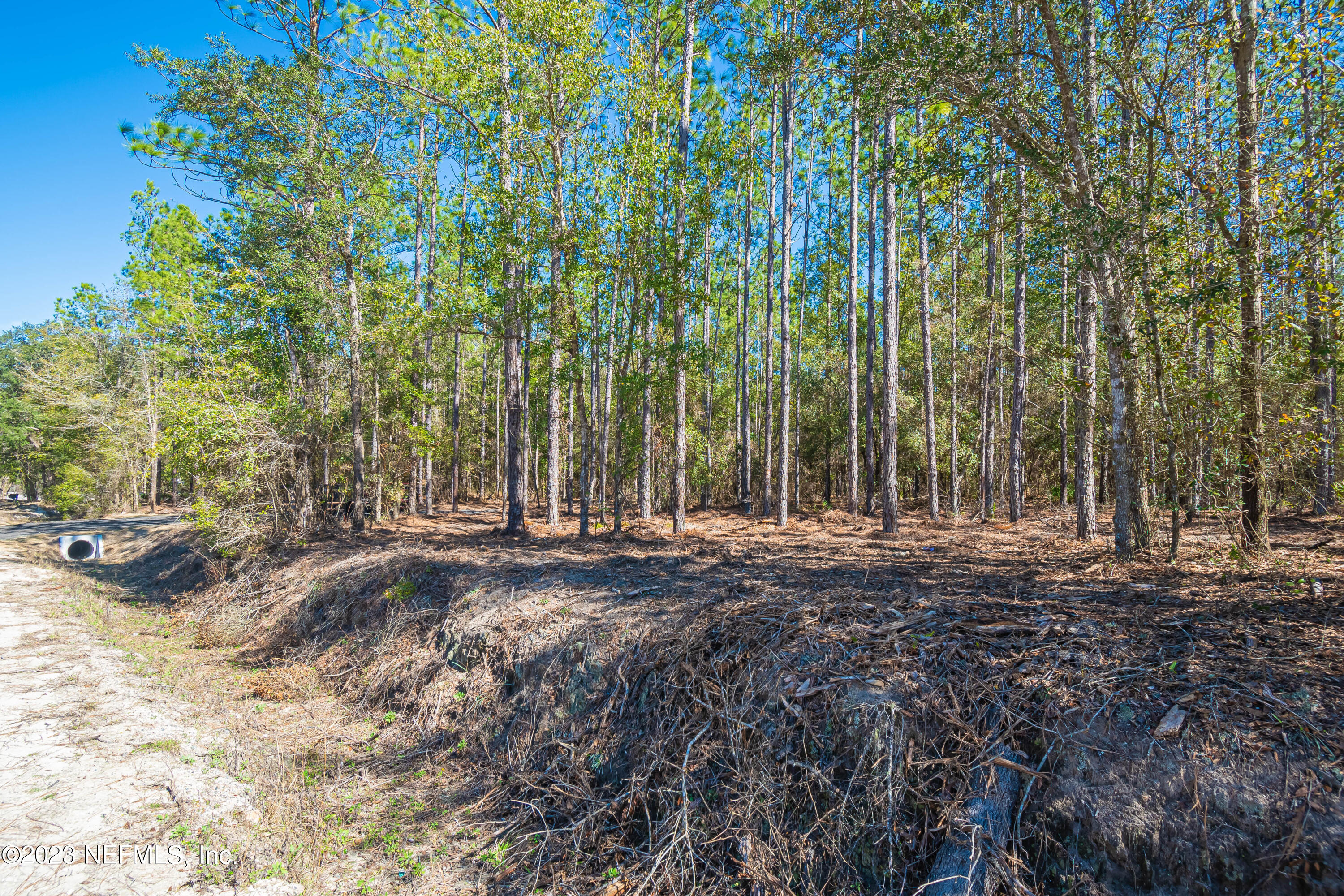 Lot 8 Stokes Road Macclenny, FL 32063 - Photo 8 of 9 untitled-3571