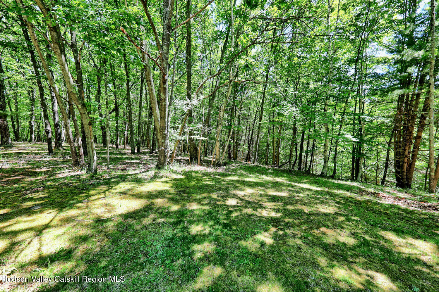 199 Paddock Road Cairo, NY 12413 - Photo 88 of 101 9zzza