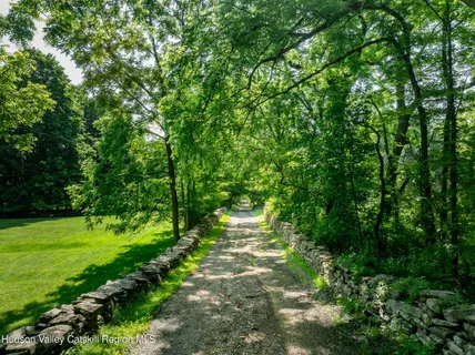a big yard with lots of green space and plants