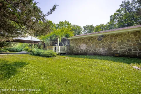 a view of a backyard with plants and large trees