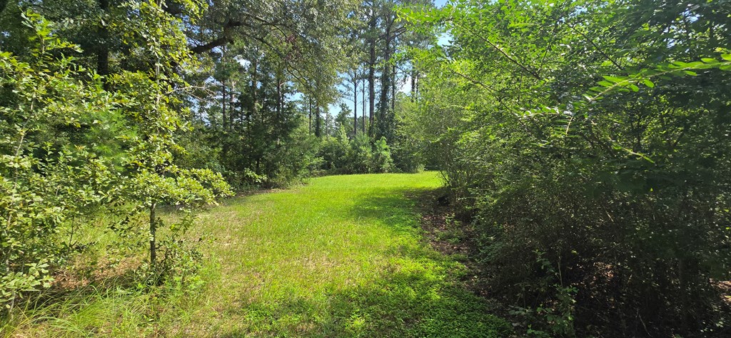 4739 Wallace Buie Road Columbia, AL 36319 - Photo 10 of 54