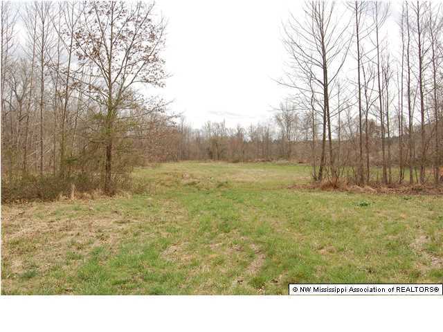 1399 Hebron Church Road Lamar, MS 38642 - Photo 16 of 16 Additional Photo