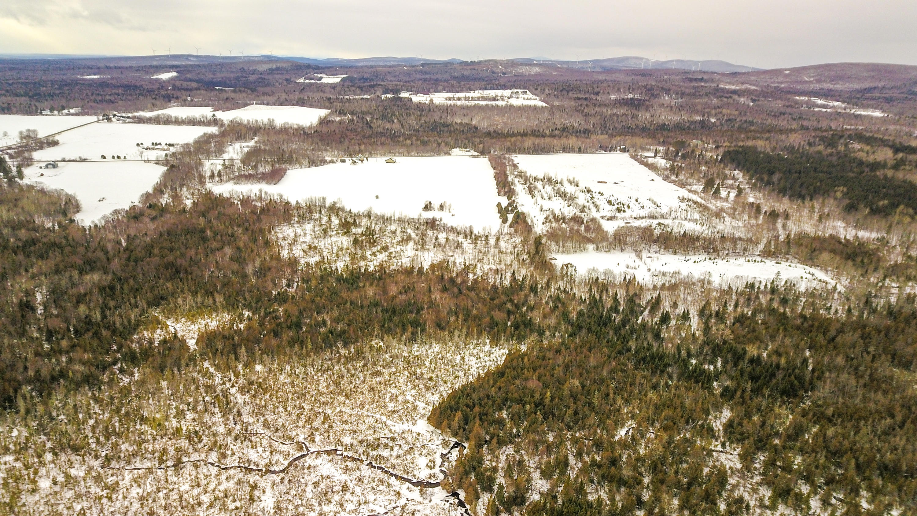Lot 39 Off New Limerick Road Houlton, ME 04730 - Photo 16 of 24 Edited-13