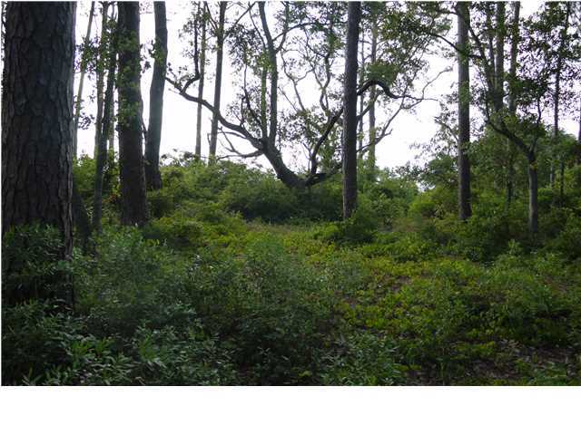 Lot 2 Driftwood Point Road Miramar Beach, FL 32550 - Photo 4 of 9 Additional Photo