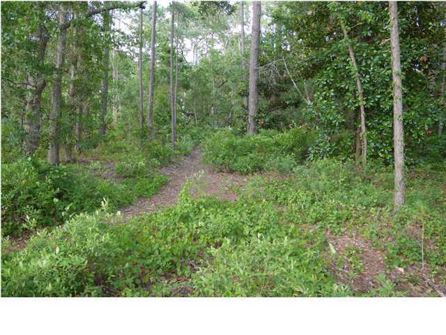 Lot 2 Driftwood Point Road Miramar Beach, FL 32550 - Photo 5 of 9 Additional Photo