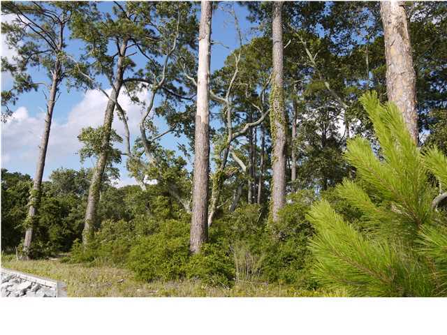 Lot 2 Driftwood Point Road Miramar Beach, FL 32550 - Photo 6 of 9 Additional Photo