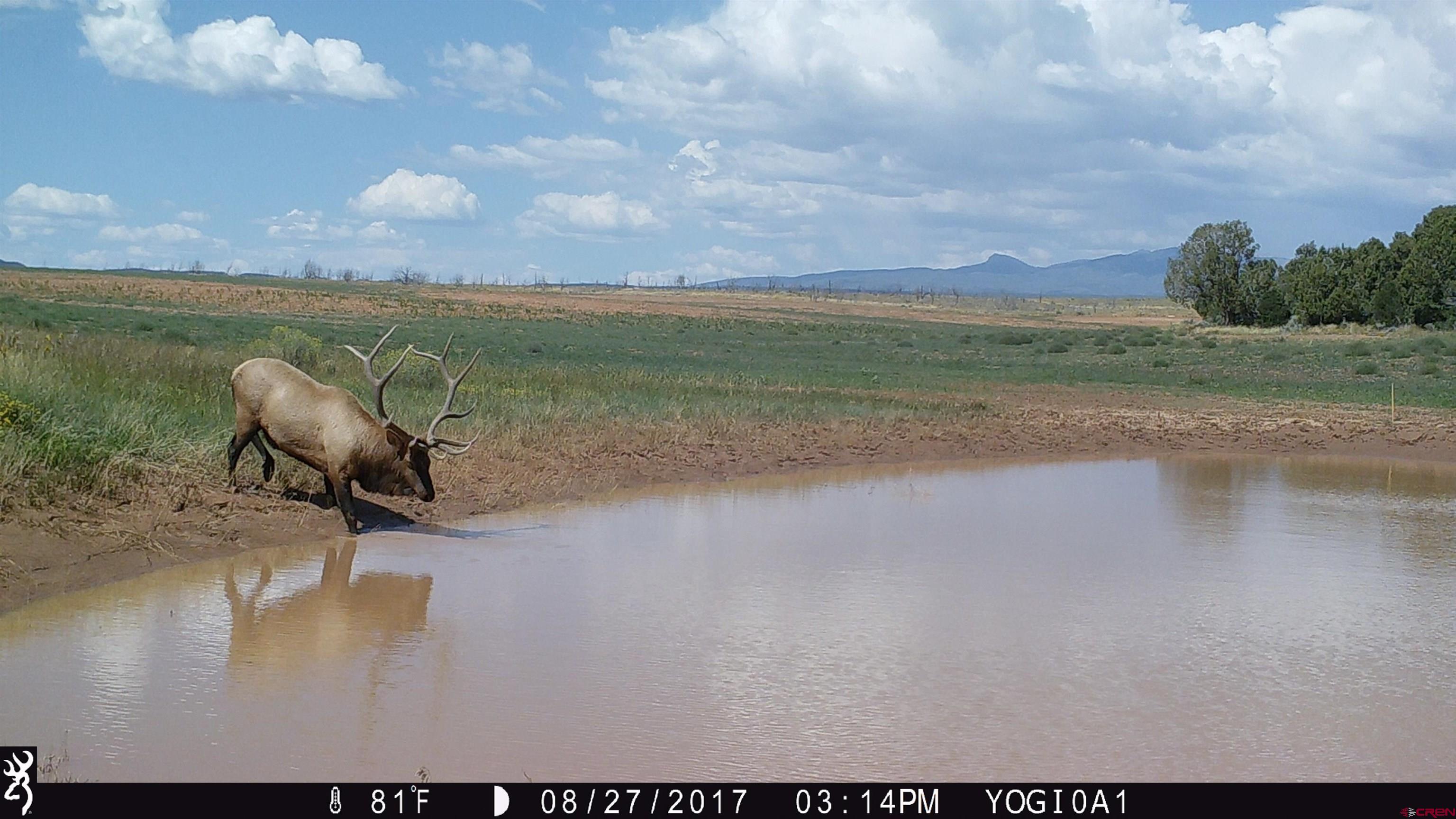 0 Akati Gulch Road, Unit MAJESTIC ELK RANCH 960 Hesperus, CO 81326 - Photo 12 of 29