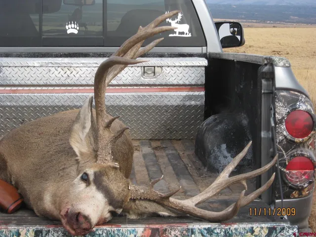 a close view of shoes