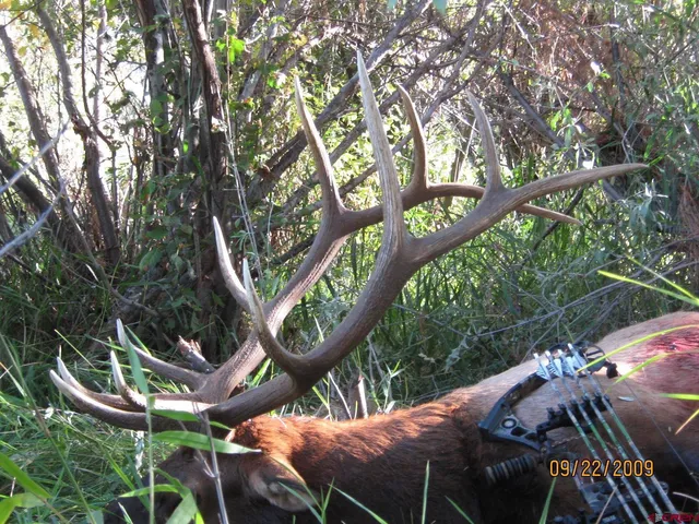 a view of an outdoor sitting area