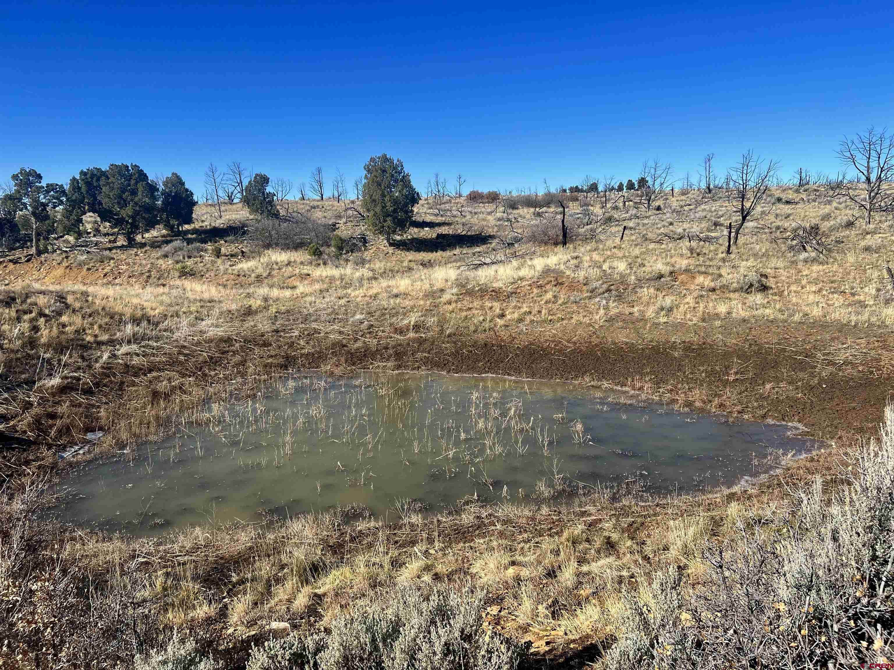 0 Akati Gulch Road, Unit MAJESTIC ELK RANCH 960 Hesperus, CO 81326 - Photo 18 of 29