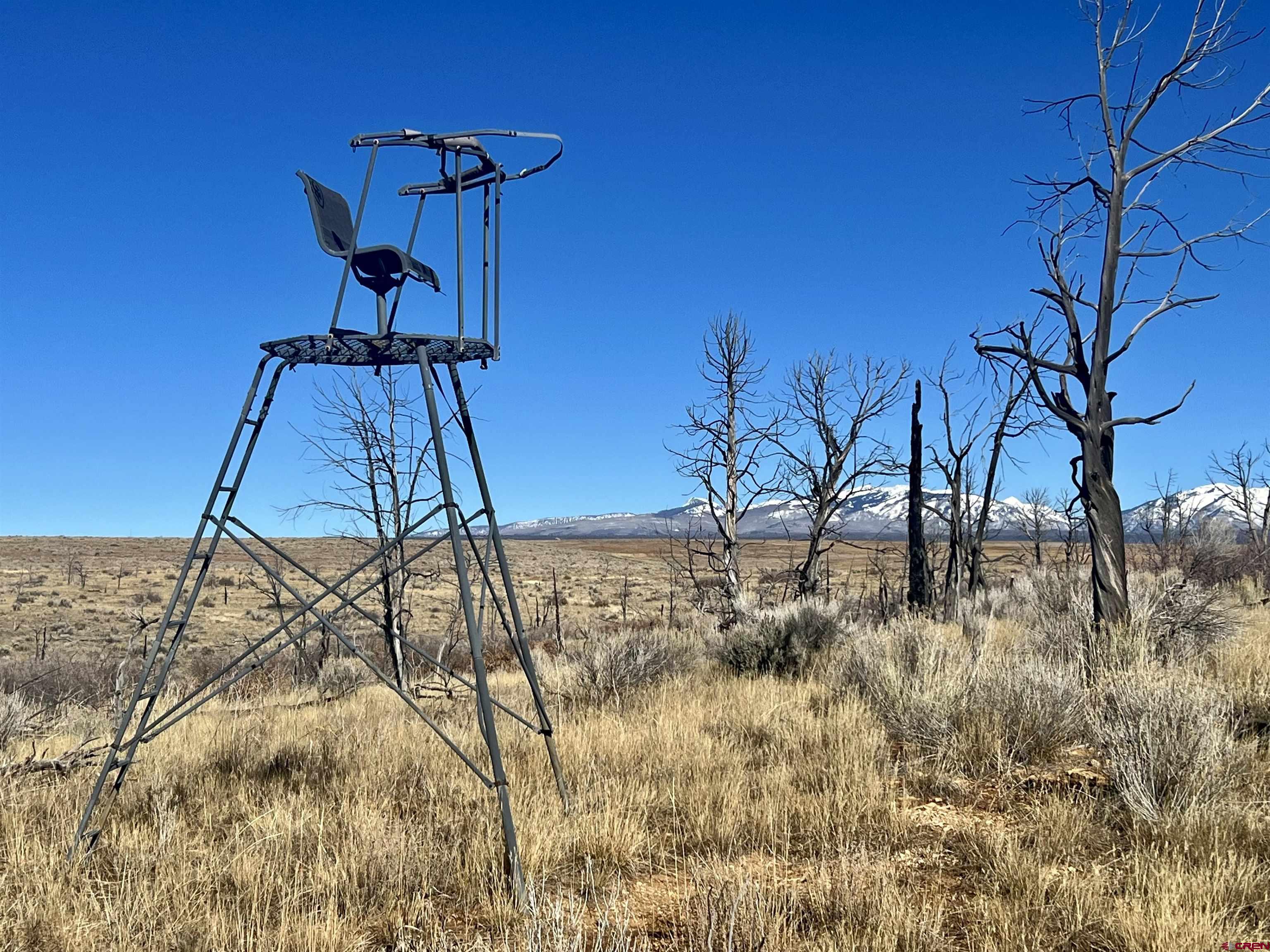 0 Akati Gulch Road, Unit MAJESTIC ELK RANCH 960 Hesperus, CO 81326 - Photo 20 of 29