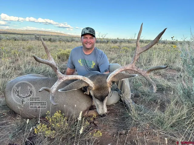 a view of a fireplace in a yard