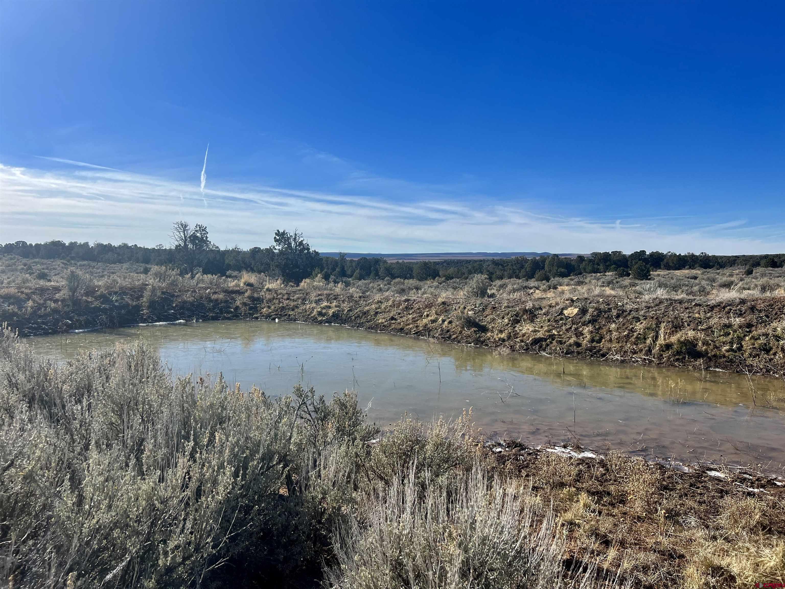 0 Akati Gulch Road, Unit MAJESTIC ELK RANCH 960 Hesperus, CO 81326 - Photo 24 of 29