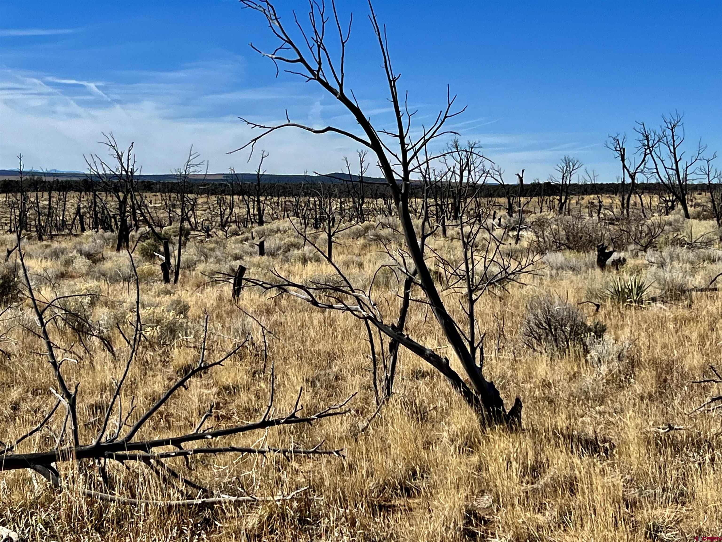 0 Akati Gulch Road, Unit MAJESTIC ELK RANCH 960 Hesperus, CO 81326 - Photo 28 of 29