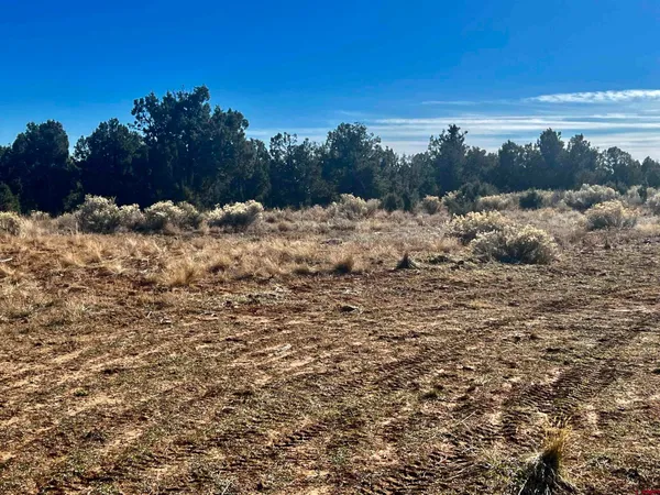 $2,500,000 | 0 Akati Gulch Road, Unit MAJESTIC ELK RANCH 960, Hesperus, CO 81326