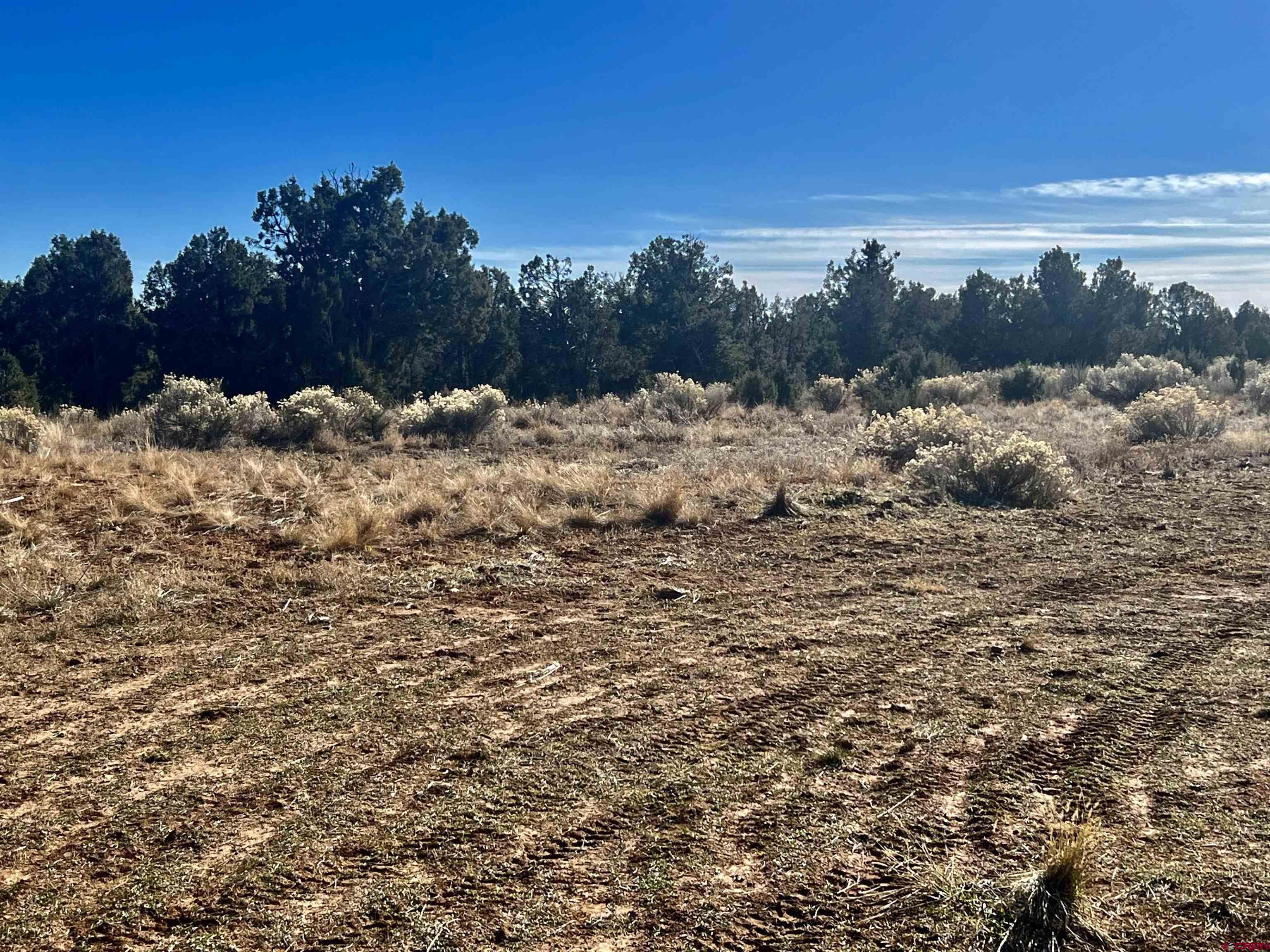 0 Akati Gulch Road, Unit MAJESTIC ELK RANCH 960 Hesperus, CO 81326 - Photo 29 of 29
