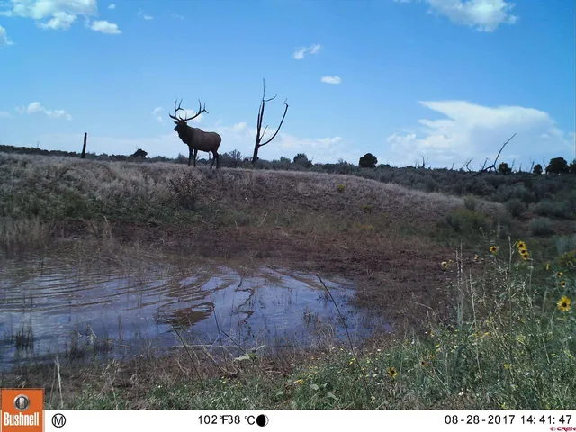a view of a dry yard