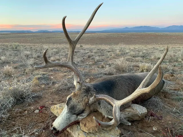 a ocean view with beach
