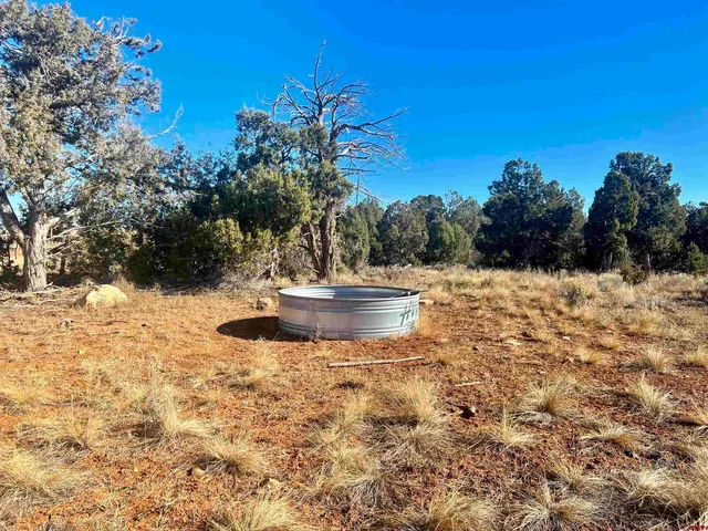 a view of a water fountain with a yard