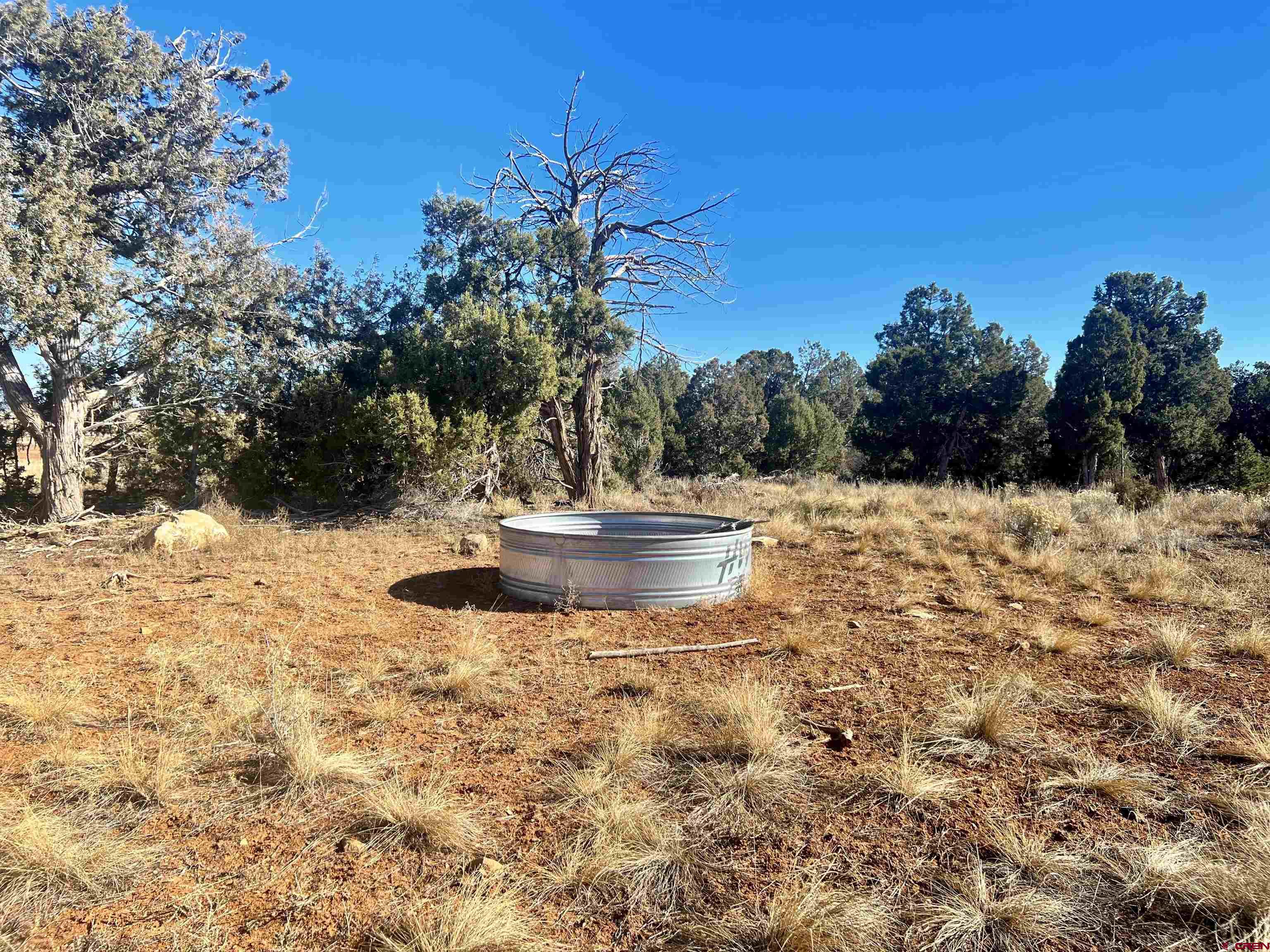 0 Akati Gulch Road, Unit MAJESTIC ELK RANCH 960 Hesperus, CO 81326 - Photo 8 of 29