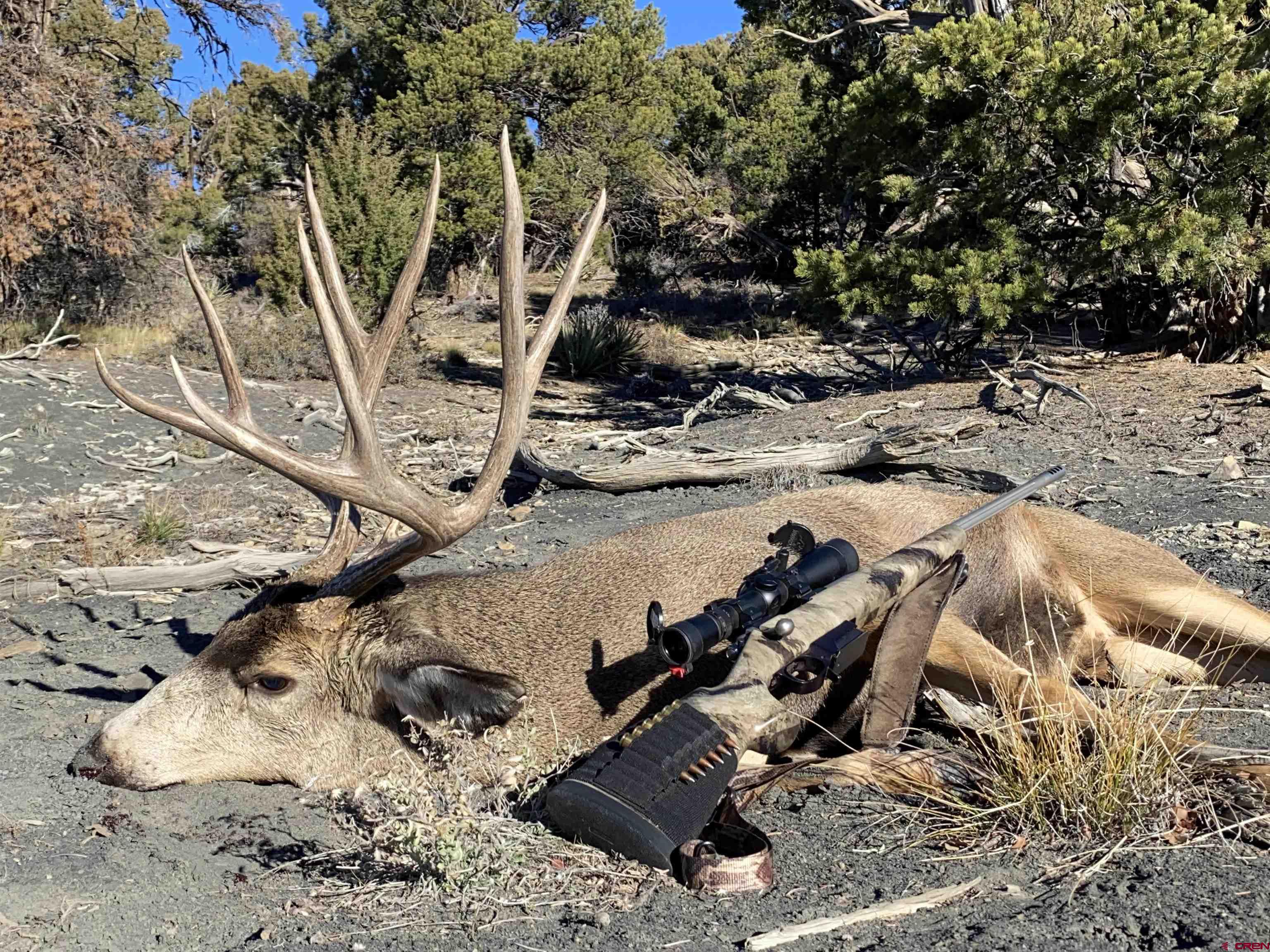 0 Akati Gulch Road, Unit MAJESTIC ELK RANCH 960 Hesperus, CO 81326 - Photo 10 of 29