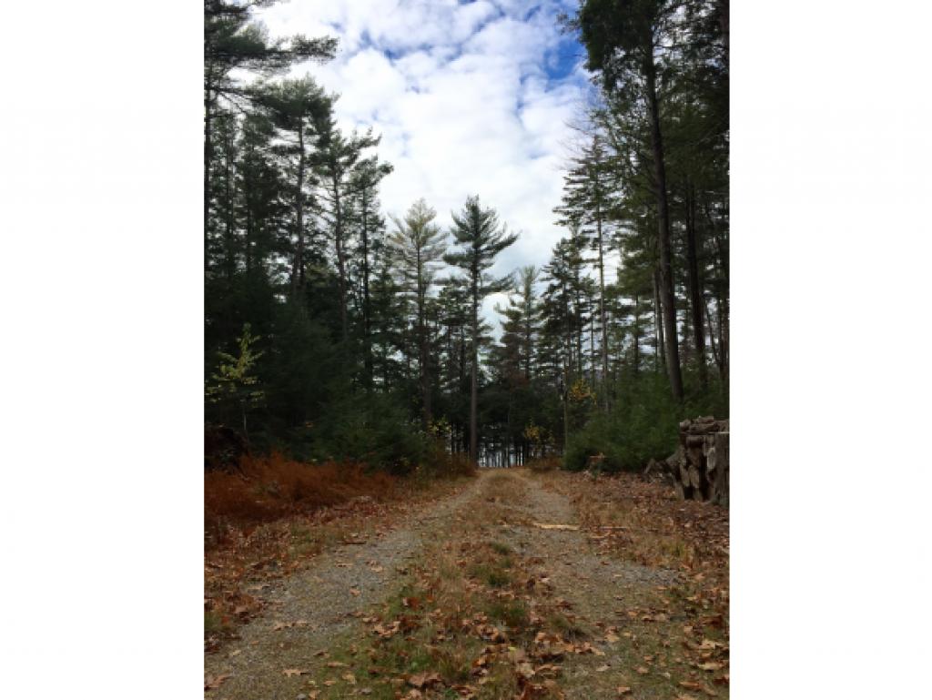 5 Boutwell Road Hancock, NH 03449 - Photo 28 of 28