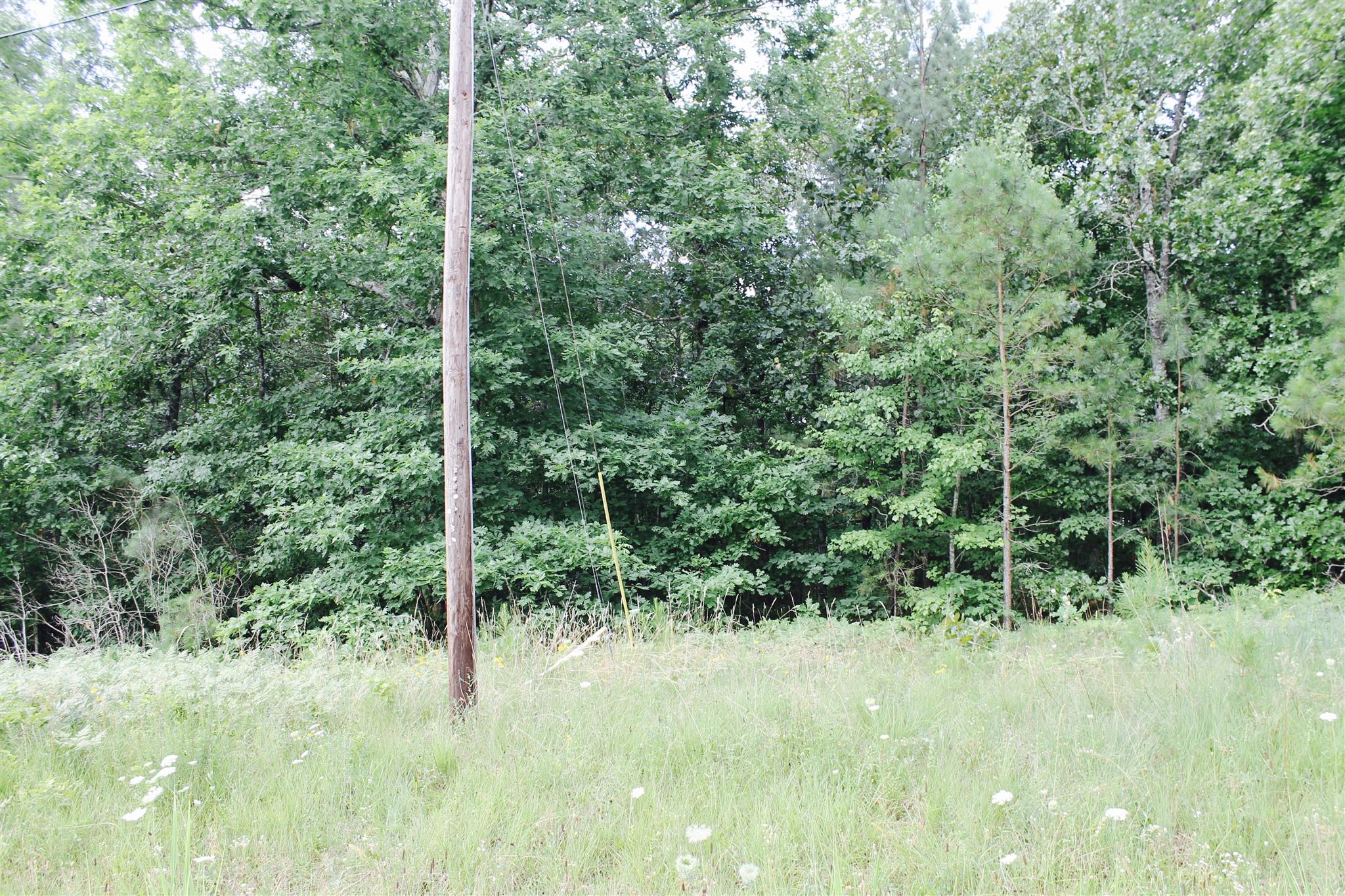 0 Rush Branch Road Hohenwald, TN 38462 - Photo 3 of 5 Gallery Image 3