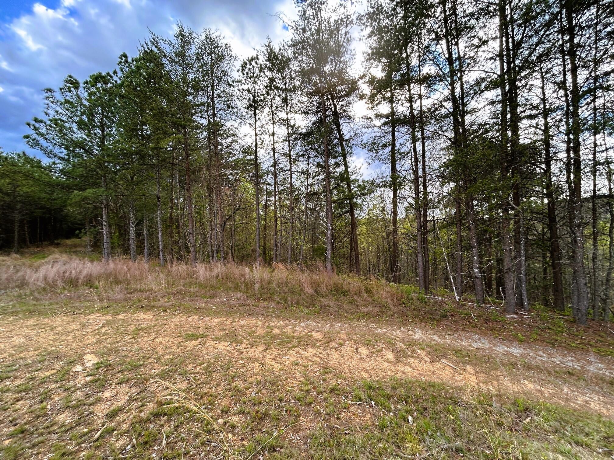 3 Southwest Owl Hollow Road McDonald, TN 37353 - Photo 1 of 9