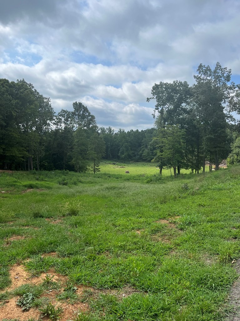 2711 Sullivan Knowles Road Sparta, TN 38583 - Photo 40 of 42 a view of a green field