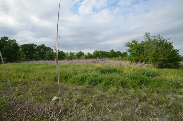a view of a garden