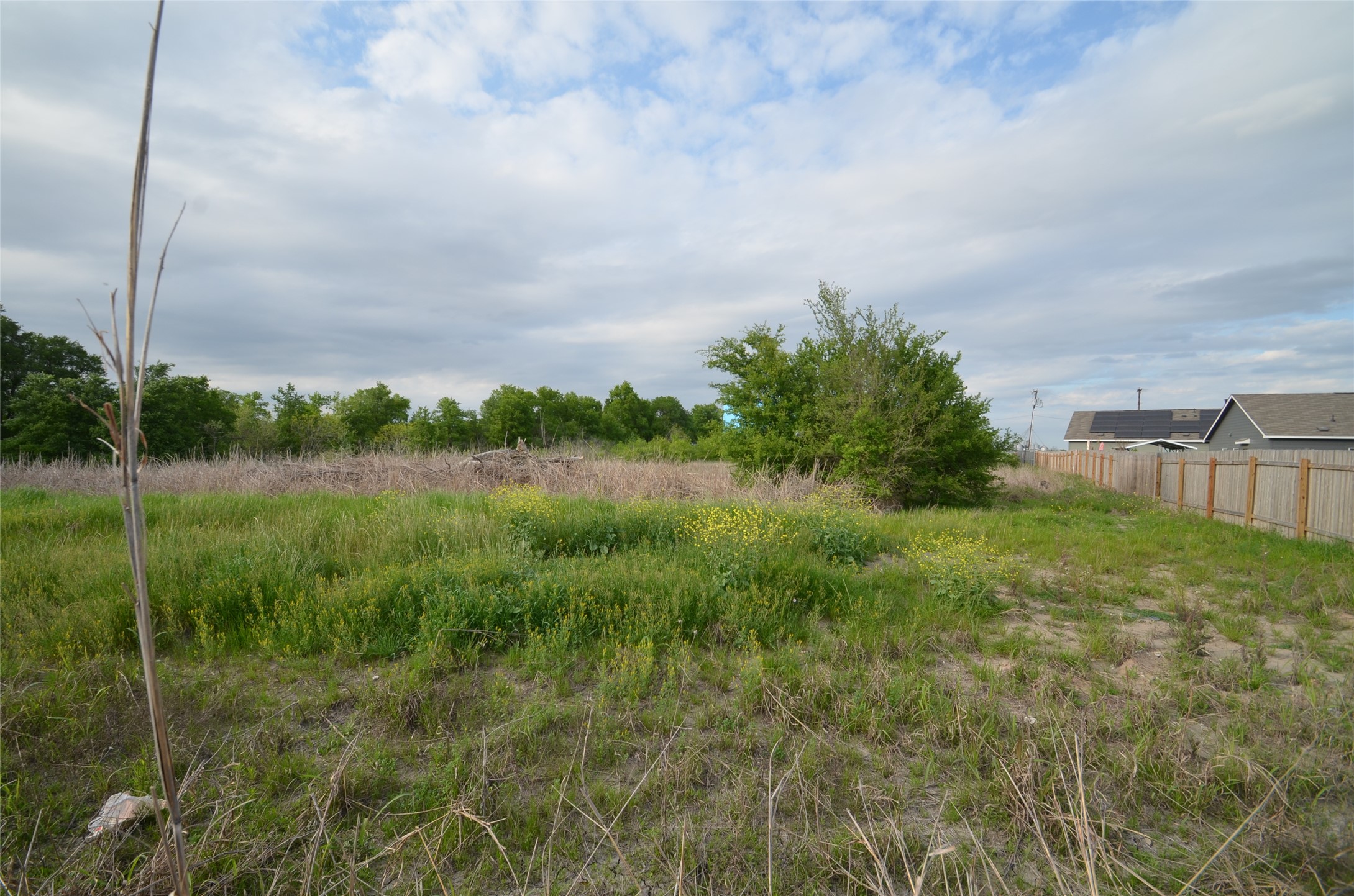 13706 Mussel Run Elgin, TX 78621 - Photo 31 of 34 a view of a garden