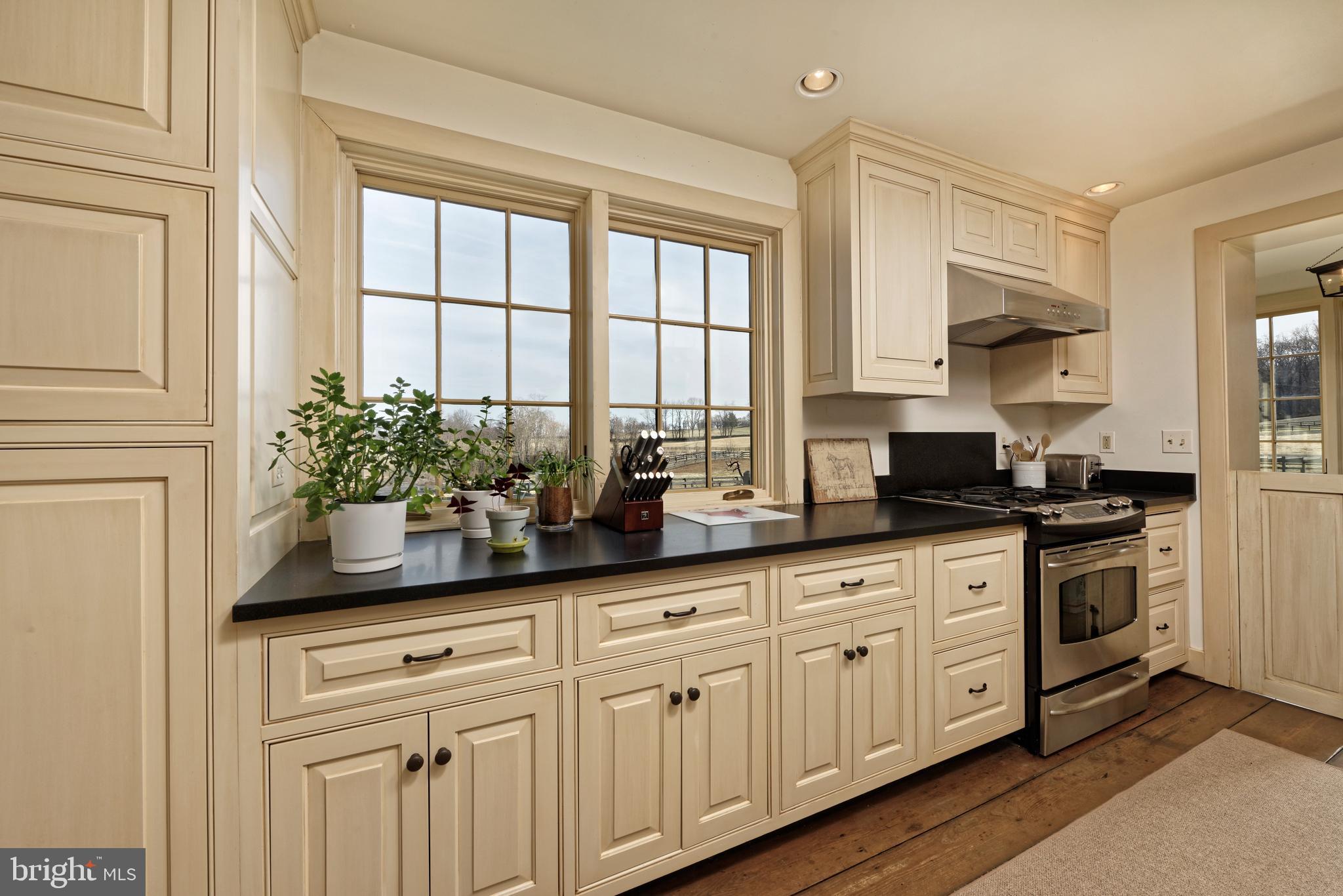 7064 Young Road The Plains, VA 20198 - Photo 53 of 89 a kitchen with stainless steel appliances white cabinets and a granite counter tops