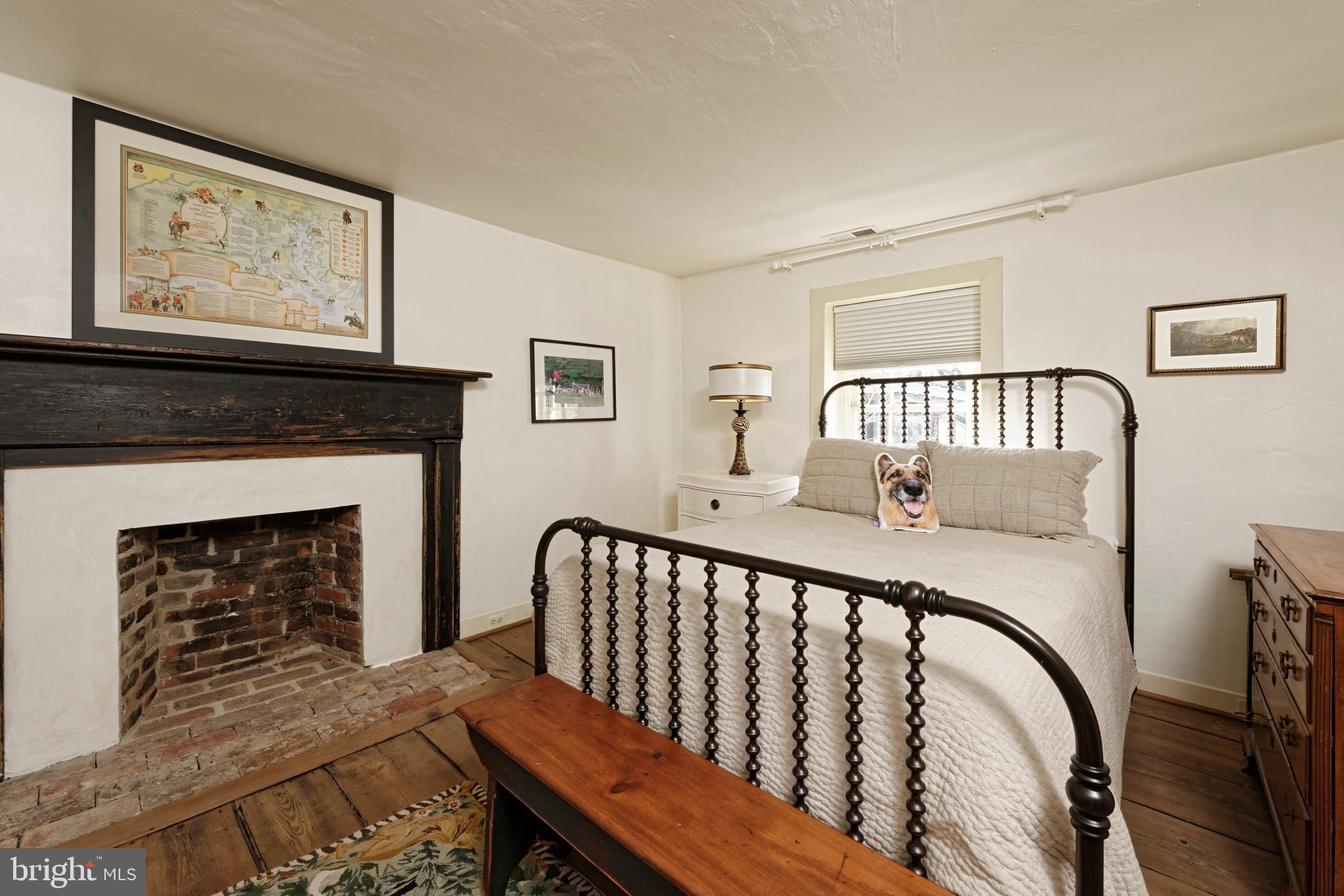 7064 Young Road The Plains, VA 20198 - Photo 58 of 89 a bedroom with furniture and a fireplace