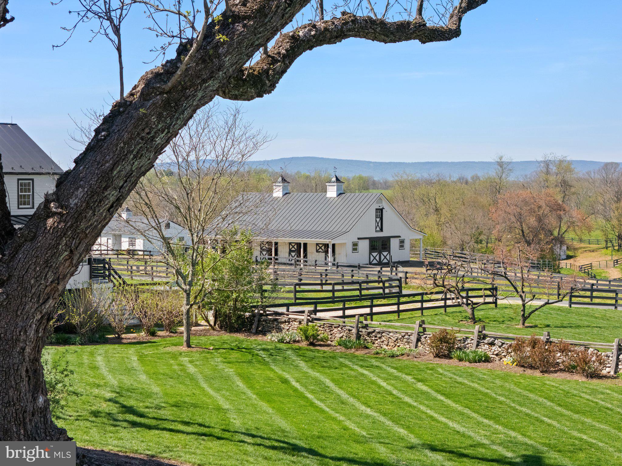 7064 Young Road The Plains, VA 20198 - Photo 68 of 89 a view of a big house with a big yard