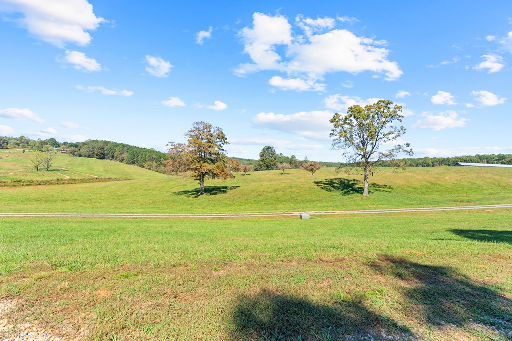 198 Tipton Springs Road Morganton, GA 30560 - Photo 45 of 72 Gallery Image 45
