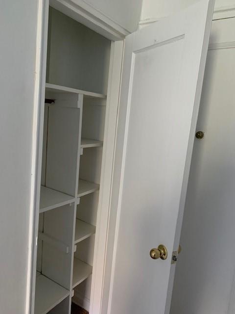 20 89th Street, Unit 3A Brooklyn, NY 11209 - Photo 13 of 18 a close view of closet