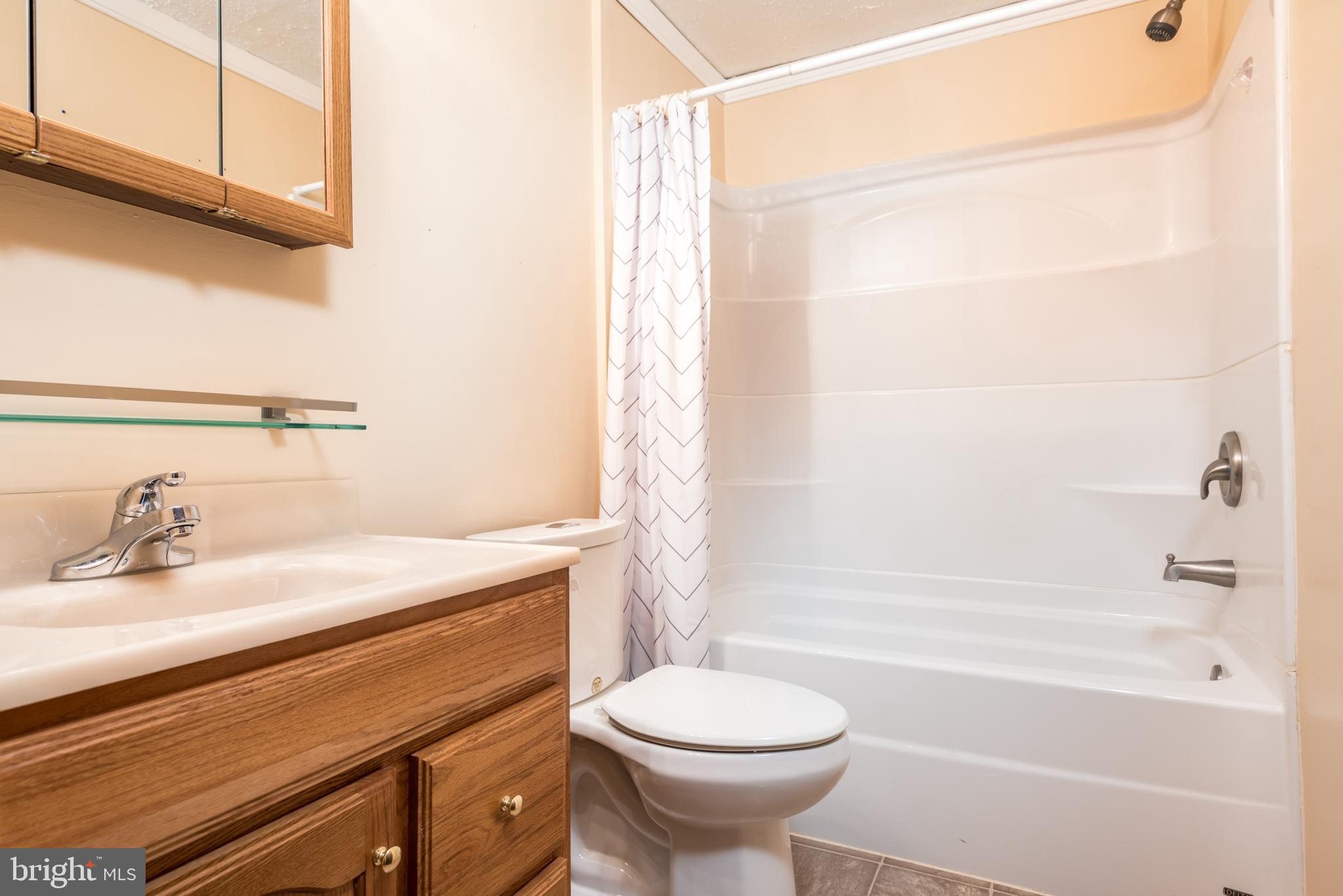 9554 Meetze Road Midland, VA 22728 - Photo 23 of 39 Hall Bath with new Bath/Shower