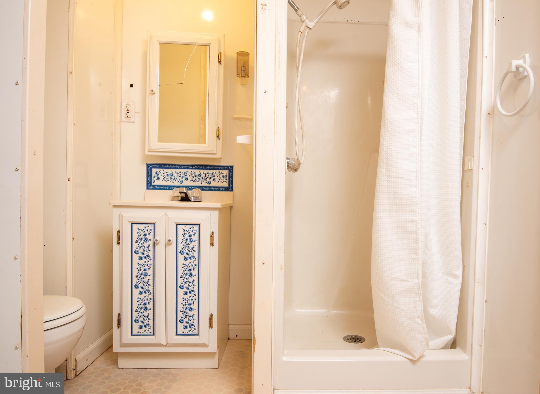 9554 Meetze Road Midland, VA 22728 - Photo 26 of 39 Lower level Full Bath